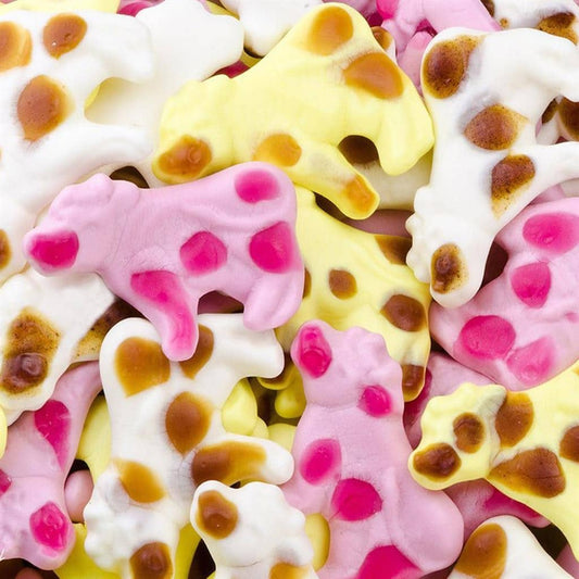 Vaches au Lait